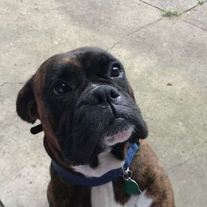 Meet your Posher, Grace